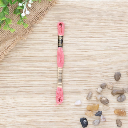 DMC Embroidery Floss